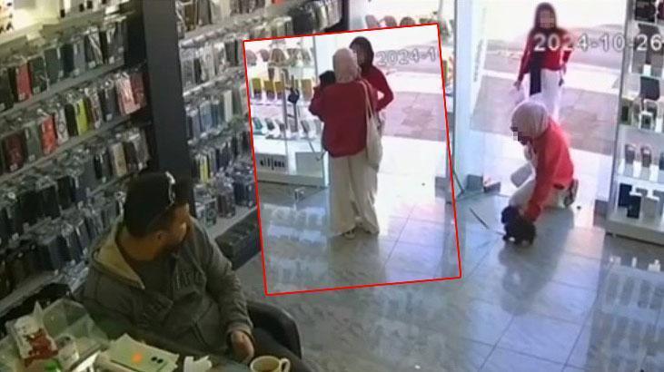 İki kızın severken ölümüne neden olduğu iddia edilen köpekle ilgili yeni gelişme