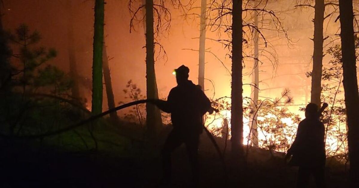 Kütahya'da çıkan orman yangınına müdahale ediliyor – Güncel haberler