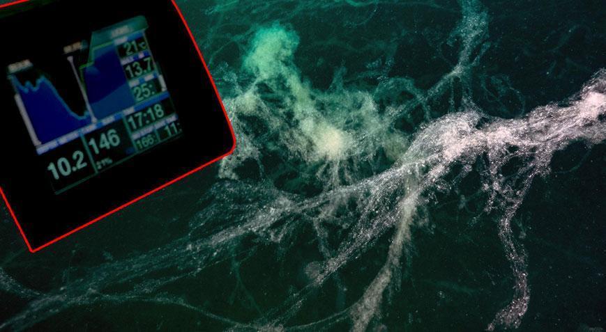 Marmara Denizi’nde sessiz tehlike! Kirlilik yükü azaltılmalı…