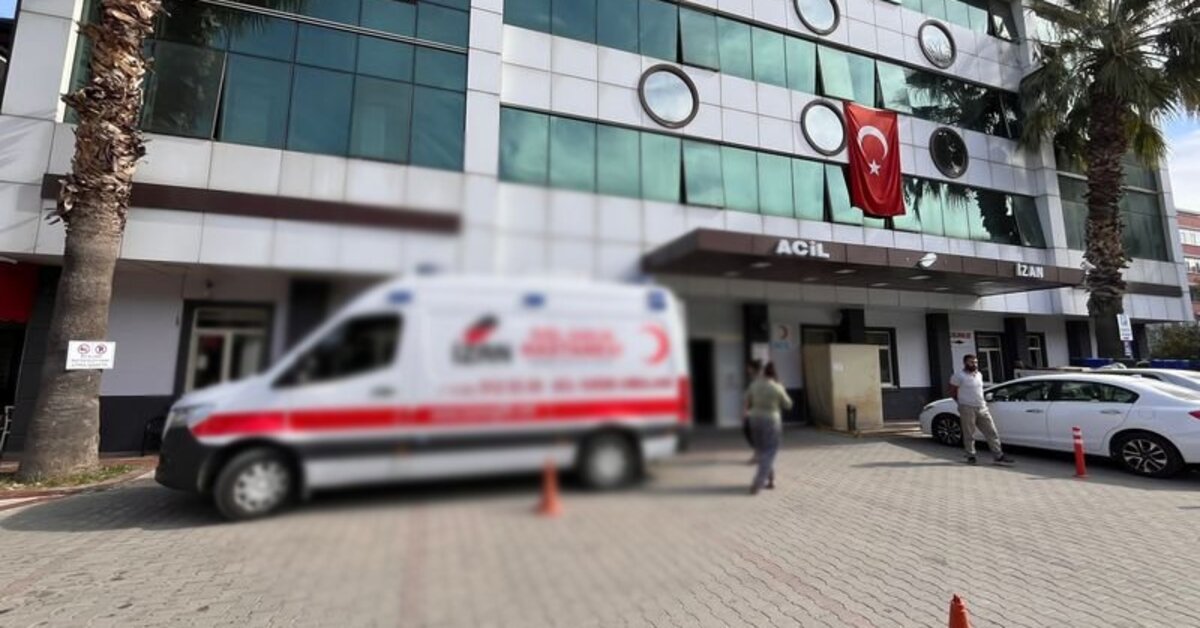 Muğla'da domuzun saldırısına uğrayan çiftçi öldü – Güncel haberler