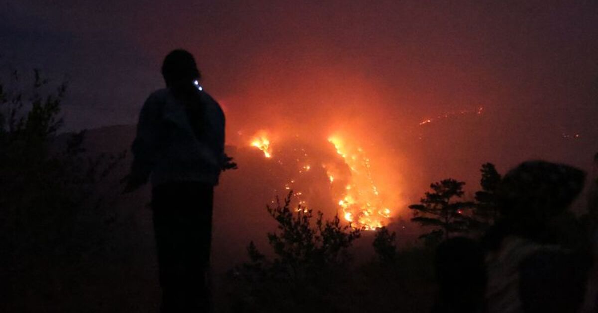 Son dakika: Adana, İzmir Mersin ve Muğla'da orman yangını | Son dakika haberleri