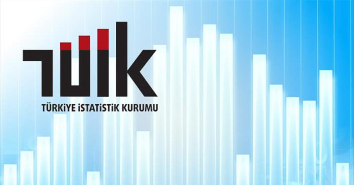 TÜİK'ten Dış Ticaret İstatistiklerine düzeltme – Ekonomi haberleri – Para Haberleri