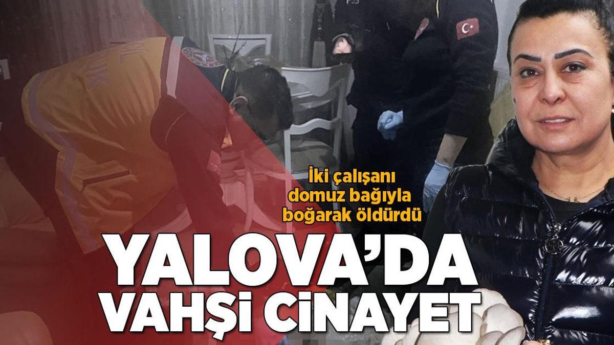Yer: Yalova! Kadın girişimci vahşice katledildi
