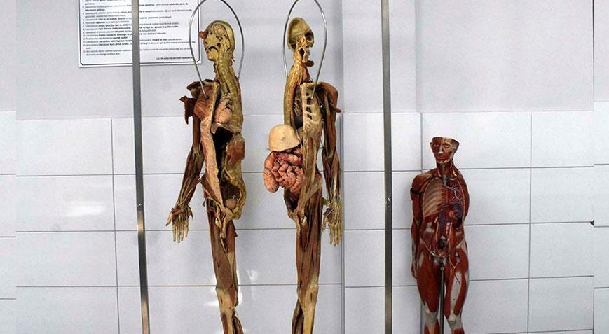 400 öğrenciye 40 kadavra! ‘En az 5 yıl kullanılıyor’