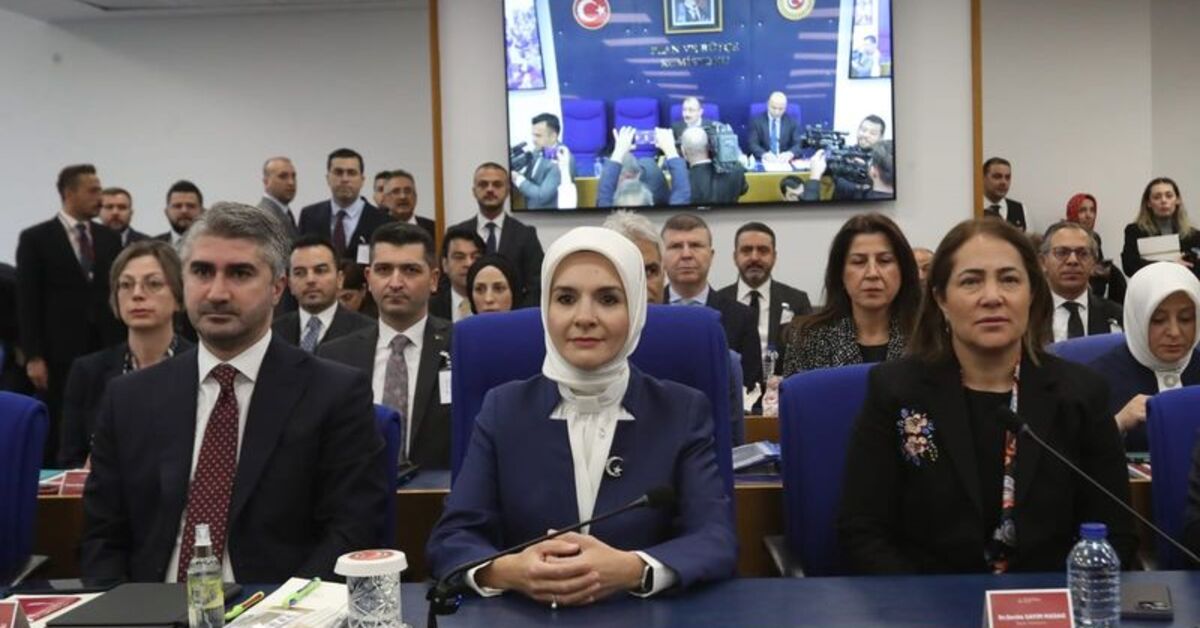 Aile ve Sosyal Hizmetler Bakanı Göktaş'tan İstanbul Sözleşmesi açıklaması | Son dakika haberleri