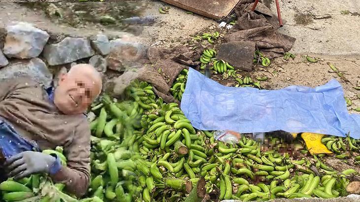 Antalya’da muz serasında facia! Halat koptu: 2 ölü, 2 yaralı