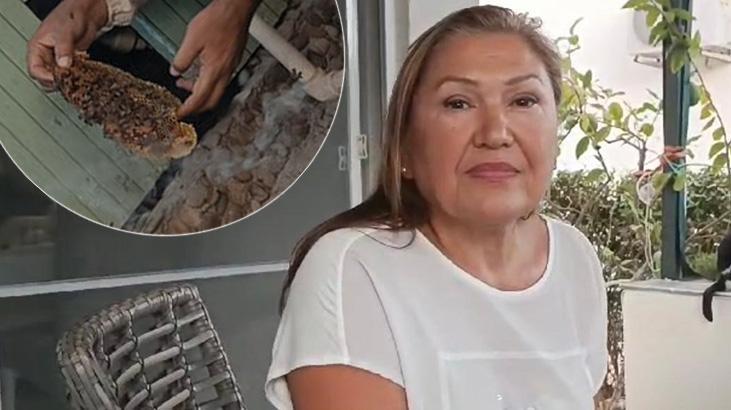 Antalya’daki yazlığına gelen kadını şaşkına çeviren manzara: Birkaç gün bekledik giderler mi diye gitmediler