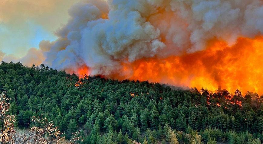 Bursa’daki yangın Balıkesir’e sıçradı!