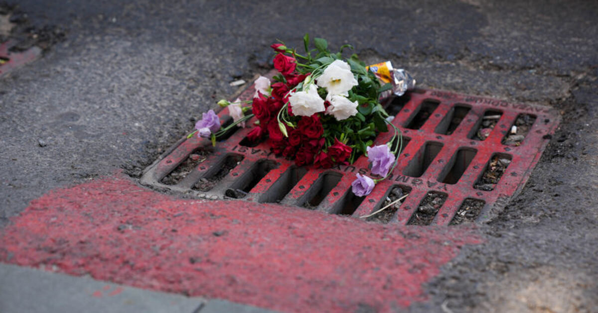 Elektrik akımı faciasında tanık konuştu: Hayvanların oradan kaçtığını gördüm! | Son dakika haberleri