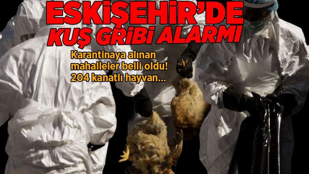 Eskişehir’de kuş gribi alarmı! 5 mahalle karantinaya alındı