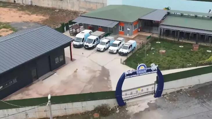 Gebze’de hayvan bakım merkezinde 45 hayvanın ölümüyle ilgili otopsi raporu açıklandı