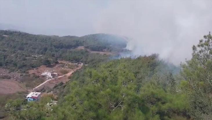 Hatay’da orman yangını: Müdahale sürüyor