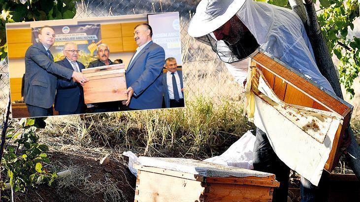 Kovan desteğinden ‘bal damlıyor’