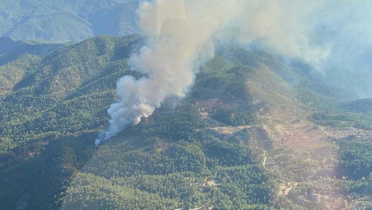 Muğla’da orman yangını: Müdahale sürüyor