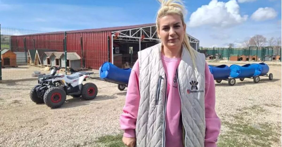 Sokak hayvanları derneğinde 20 milyon TL'lik dolandırıcılık iddiası! | Son dakika haberleri