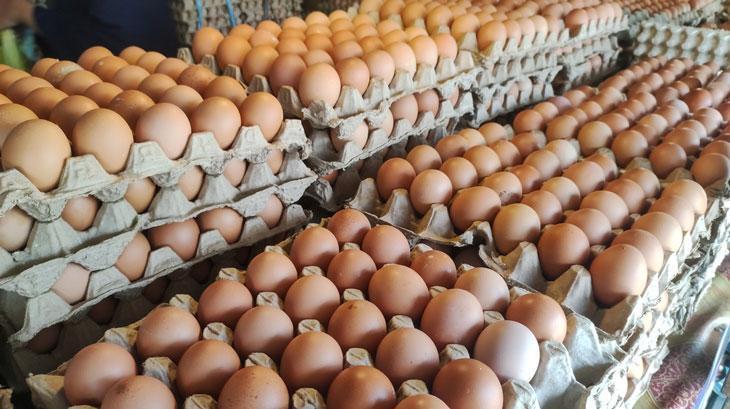Son Dakika: Yumurtada ‘Kuş Gribi’ fırsatçılığı! Yumurta alırken bunlara dikkat!