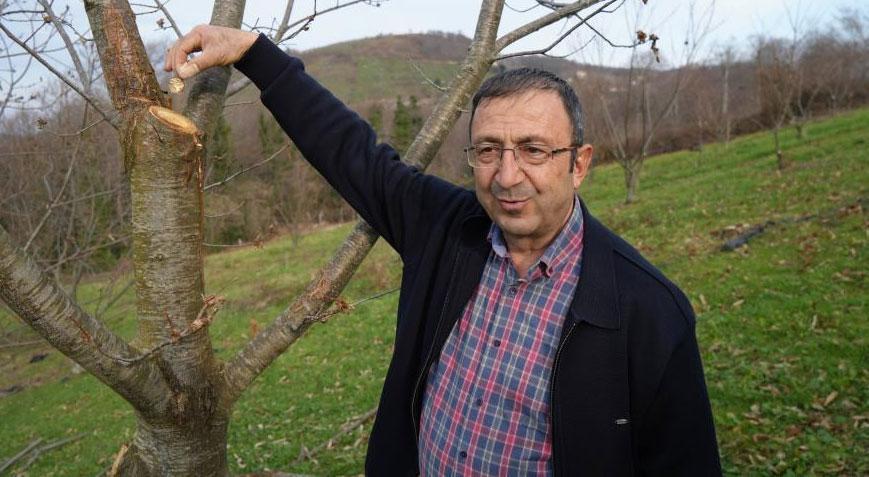 5 yılda 500 bitki üzerinde araştırma yapıldı! 35’i sağlam kaldı