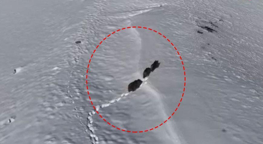 Drone çekiminde fark edildiler! Ormana girerek gözden kayboldular