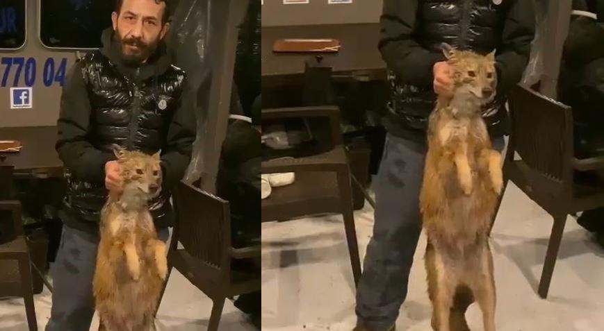 İstanbul Boğazı’nda şoke eden olay! Balık tutarken tilki yakaladılar