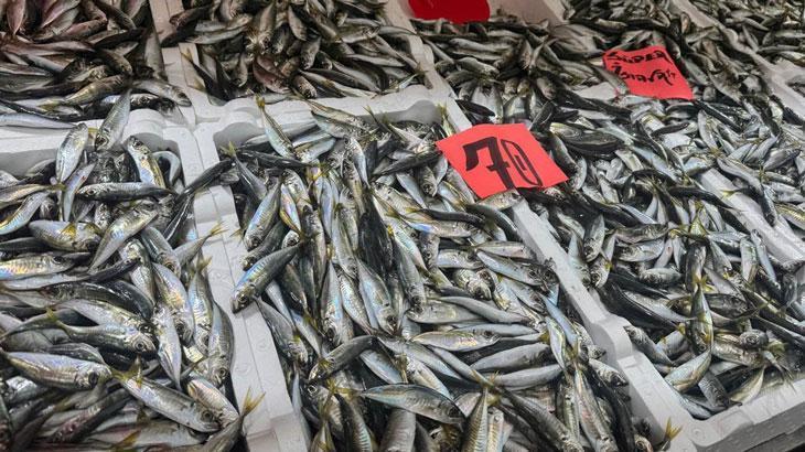 İstavritin bolluğu fiyatları düşürdü