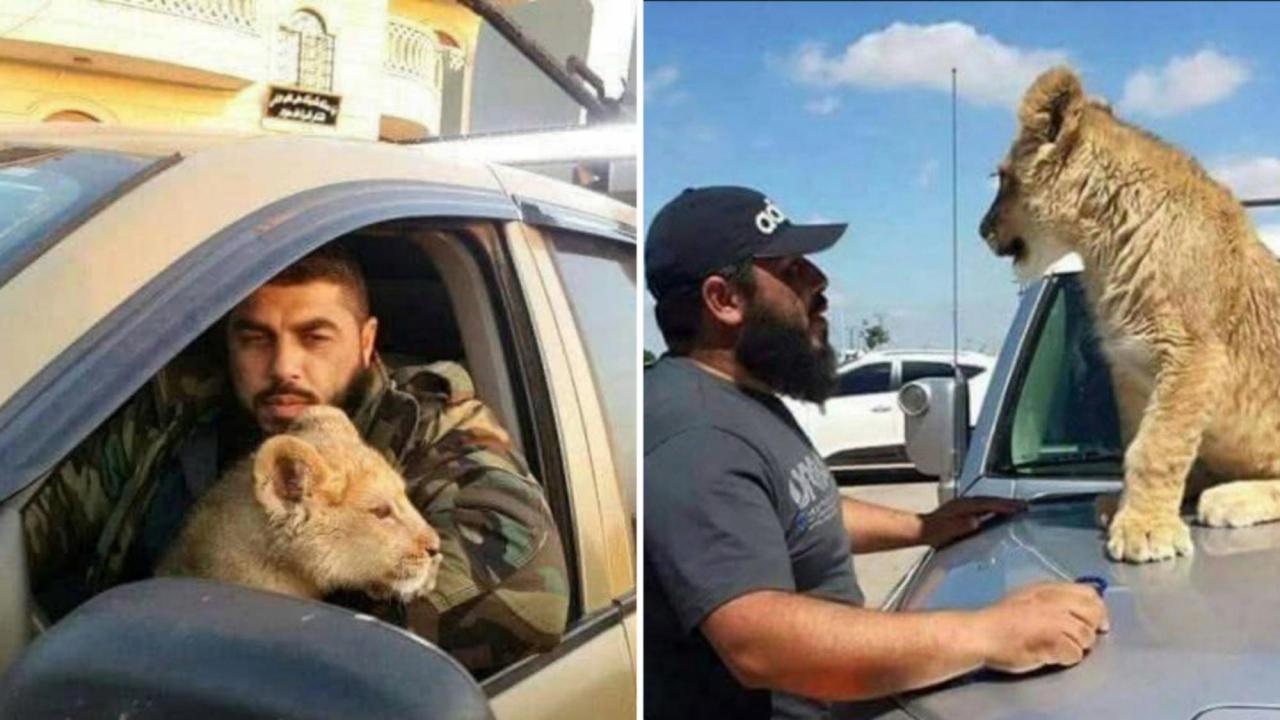 Muhalifleri aslanına yem etti: Suriye’nin korkulan adamı Talal El-Dakkak idam edilecek