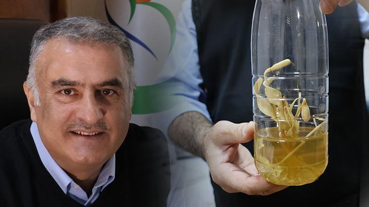 Nermut Dağı’nda keşfetti, eşinin adını verdi: Fritillaria Arzuae