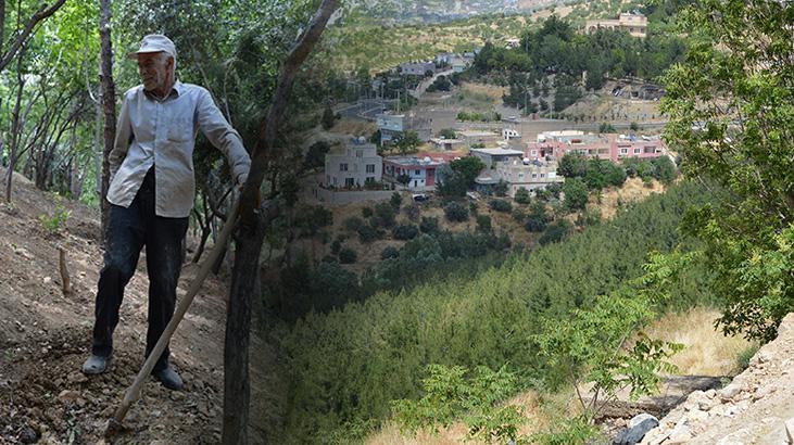 Şeyhmus amca ‘çöplük’ denilen bölgeyi cennete çevirdi!