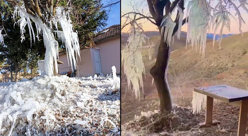 Su borusu patladı ağaçta buz sarkıtları oluştu