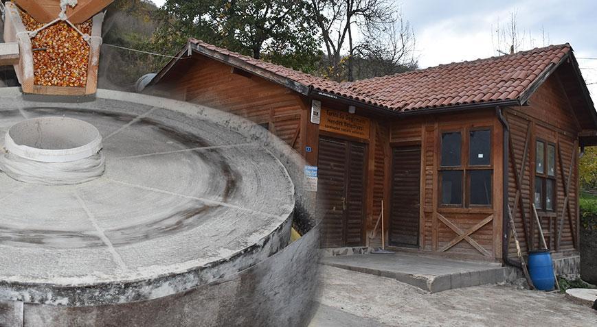 Tam 300 yıldır Sakarya’da! Yahudilerden satın alındı, en yoğun zamanları Eylül ve Ekim