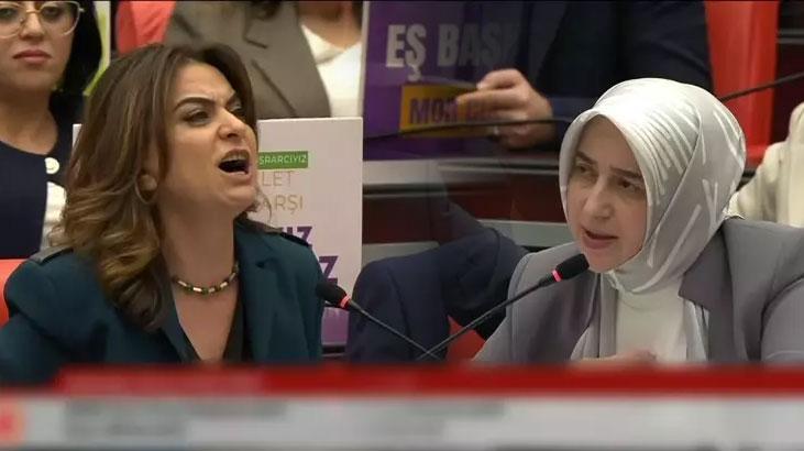 TBMM’de Suriye tartışması: DEM Parti’ye tepki yağdı!