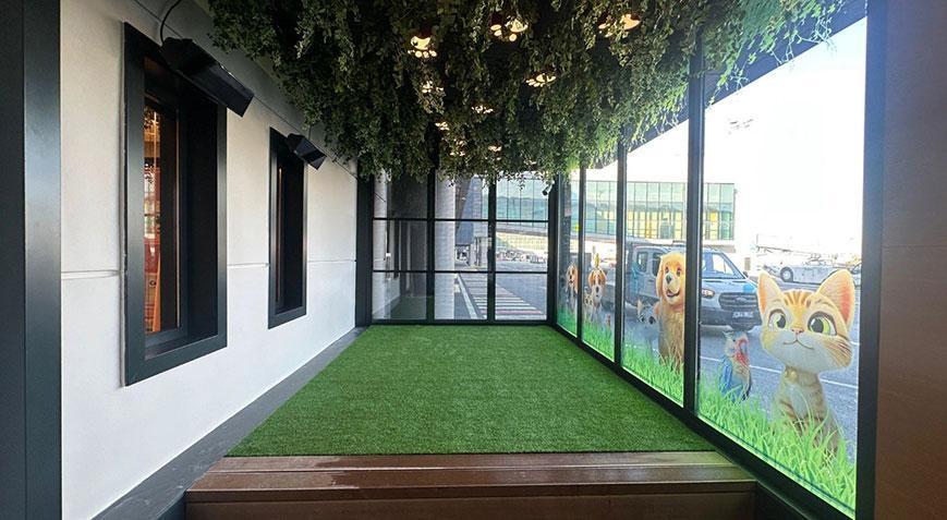 THY İstanbul Havalimanı’na Pet Lounge açtı