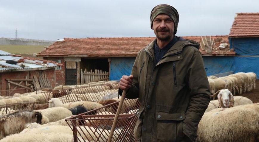 Üniversite okudu çobanlık yaptı! 35 koyun sayısını 450’ye bakın nasıl yükseltti