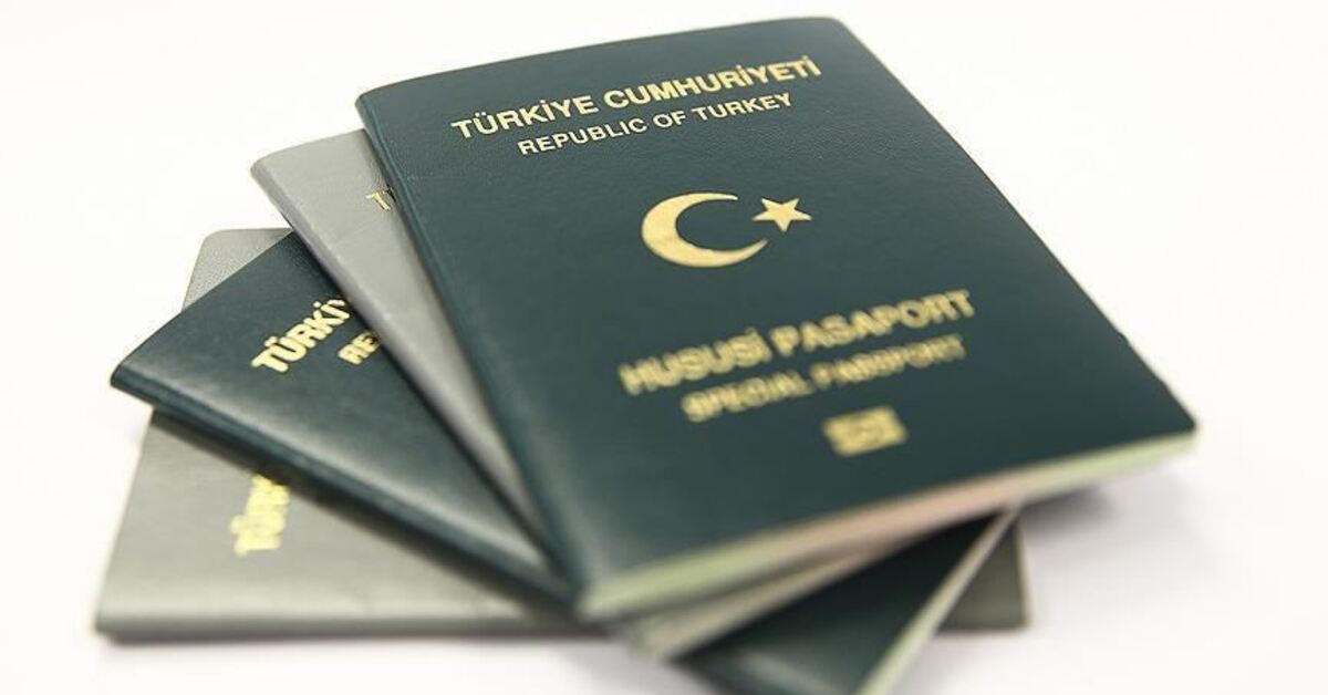 AB Türkiye Delegasyonu'ndan 'yeşil ve gri pasaport' açıklaması – İş-Yaşam Haberleri