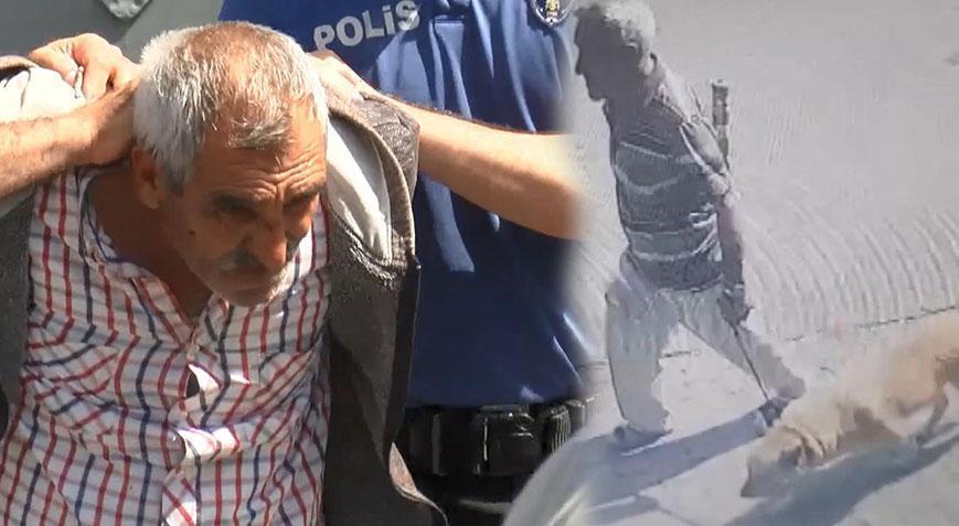 Bakırköy’de köpeğe istismar davasında karar!