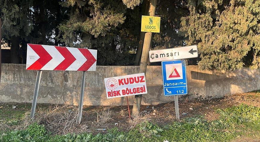 Bir kentte kuduz alarmı! 2 kişiyi ısırdı, mahalle ‘riskli alan’ ilan edildi
