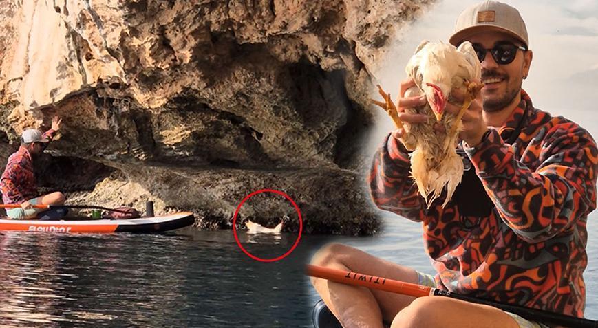 ‘Deniz’den sahiplendi! ‘Önce martı sandık ama tavukmuş’