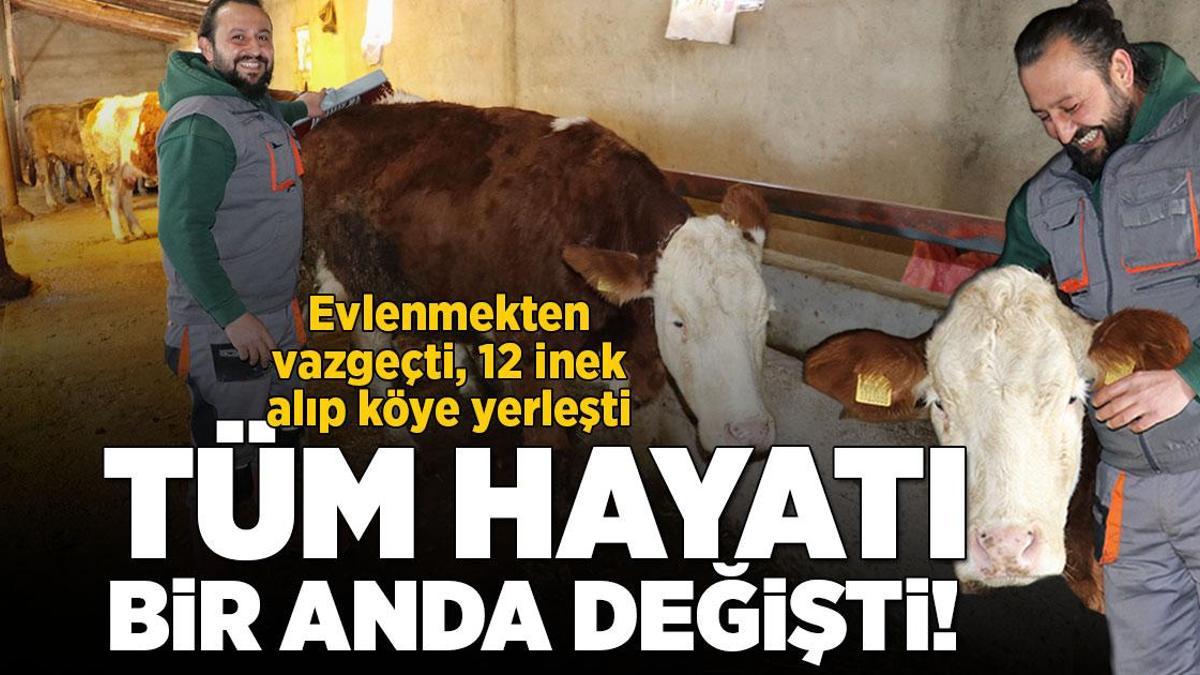 Evlenmekten vazgeçti, 12 inek alıp köye yerleşti! Tüm hayatı değişti