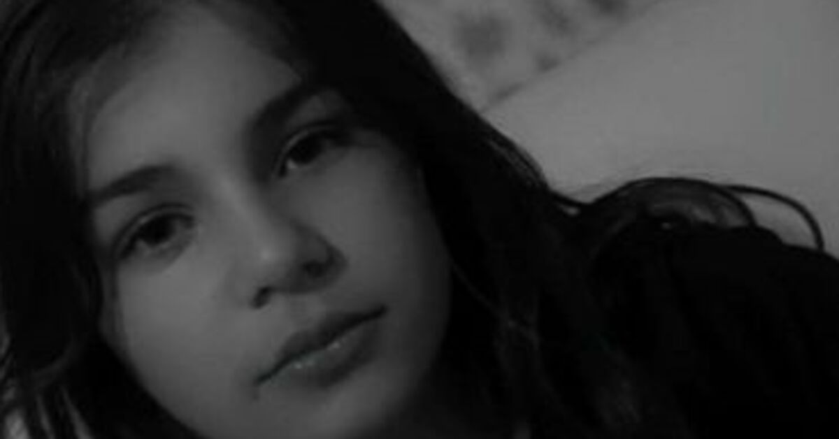 Hakkari haberleri: Sokak köpeklerinin saldırdığı 12 yaşındaki Eslem Teker öldü | Son dakika haberleri