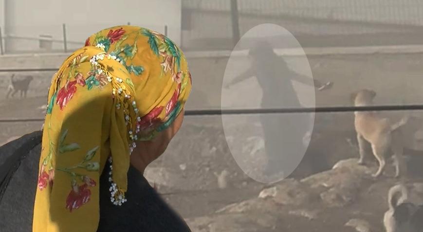 Hamile kadın dehşeti yaşadı! Her şey saniye saniye kaydedildi