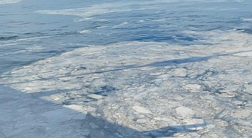 Kabus yeniden hortladı! ‘Marmara ölüm çığlığı atıyor’
