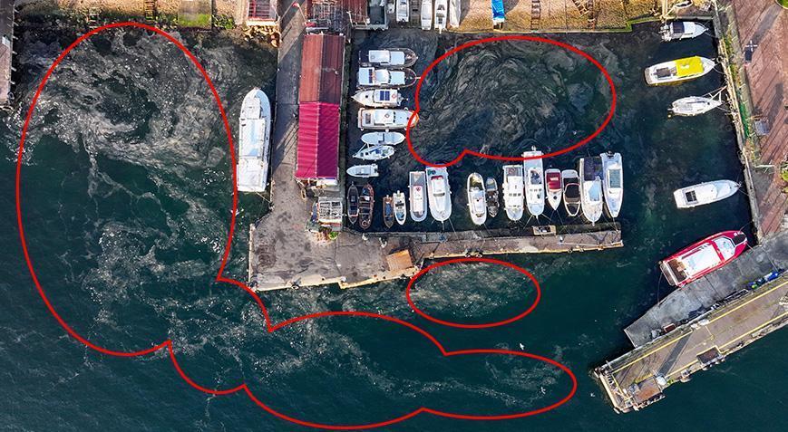 Marmara Denizi’nde yeniden ortaya çıktı! ‘Bu iyi bir şey değil’