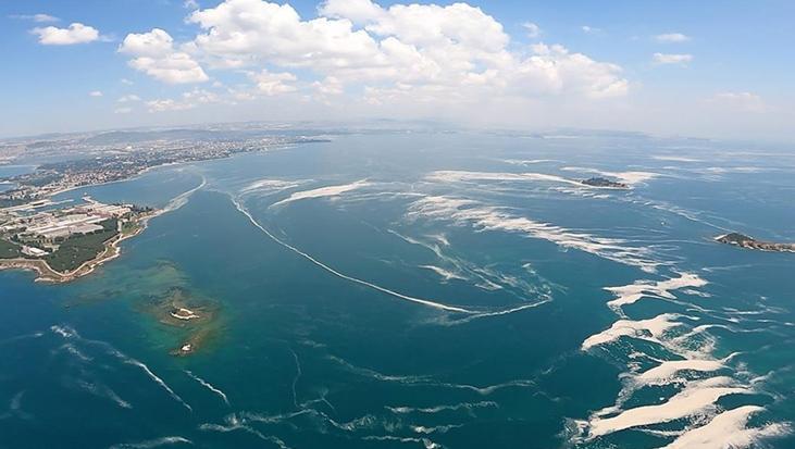 Marmara’da müsilaj tehlikesi! Yeni açıklama geldi
