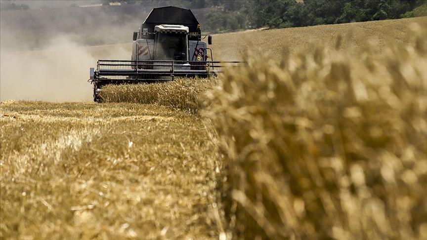 Rusya tarım sezonunda 57 milyon ton tahıl ihracatı planlıyor