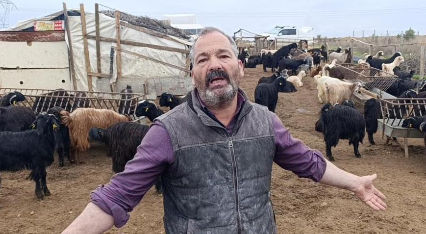 Sokak köpekleri 2 metrelik telden atlayarak saldırdı! 25’ini birden telef etti