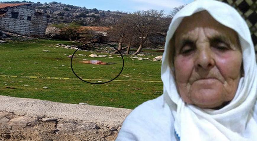 Yaşlı kadın köpeklerin saldırısında hayatını kaybetti! 4 yıl 5 ay hapis