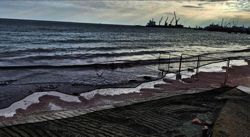 Yer: Tekirdağ! Sahili gören şaşkına döndü