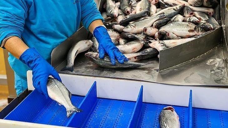 Doğu Karadeniz’den yılın ilk ayında 7,3 milyon dolarlık su ürünü ihraç edildi