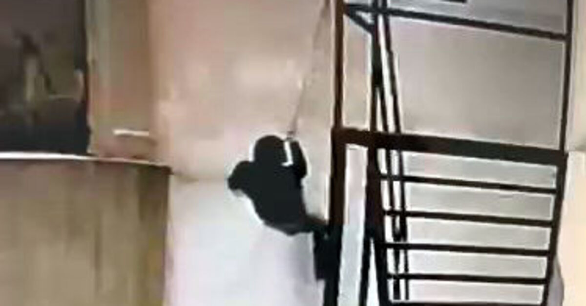 Esenyurt'ta 250 bin liralık hırsızlık kamerada – Güncel haberler | Son dakika haberleri