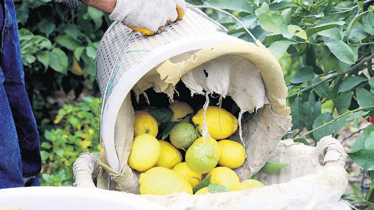 Fiyat makası limonda açık