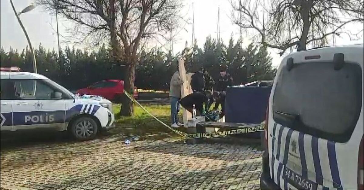 İstanbul'da vahim olay! Parkta alkol alıp uyudu! Donarak öldü! | Son dakika haberleri